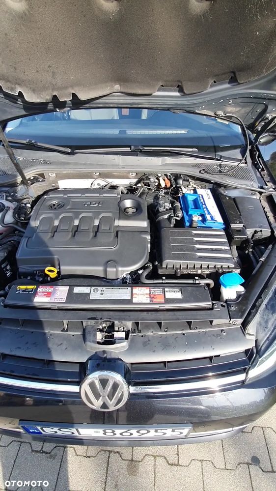 Volkswagen Golf - 10