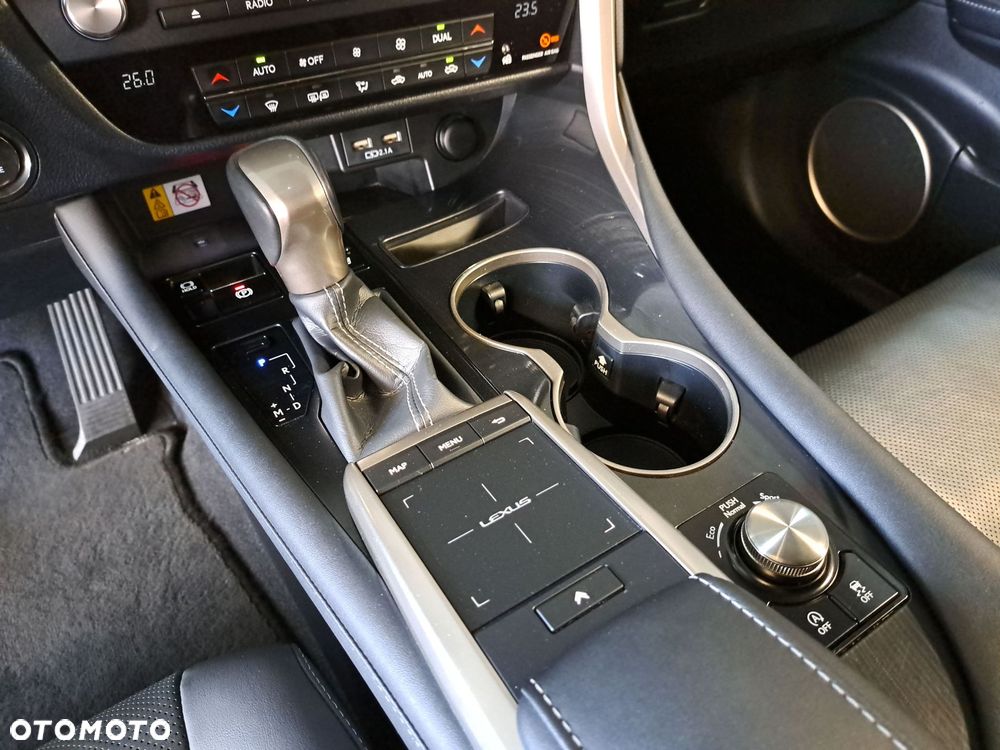 Lexus RX 300 F-Impression - 28