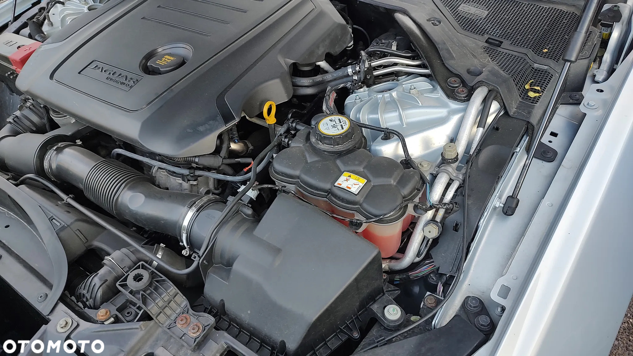 Jaguar XE - 23