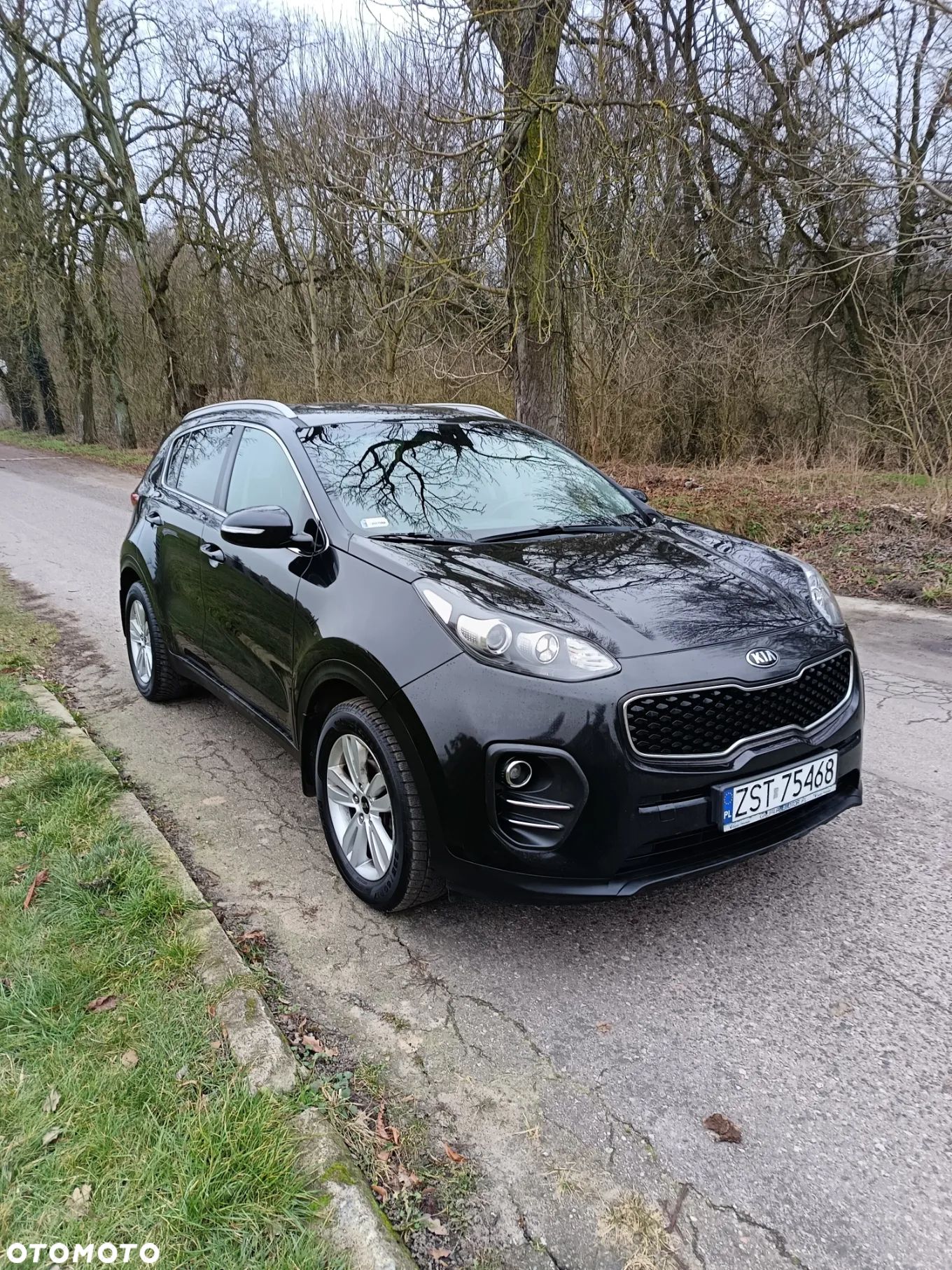 Kia Sportage - 1