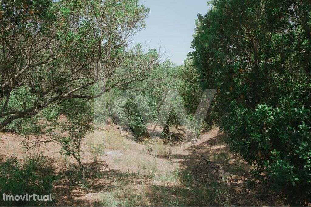 Oportunidade Única: Propriedade excepcional na Estrada da Boavista, Me - Grande imagem: 5/54