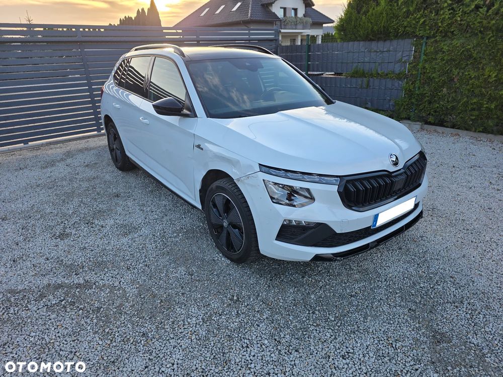 Skoda Kamiq - 20