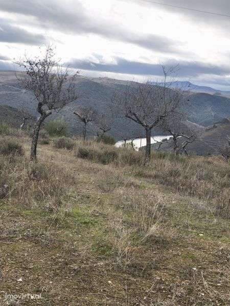 Terreno rústico em sequeiros - Grande imagem: 5/8