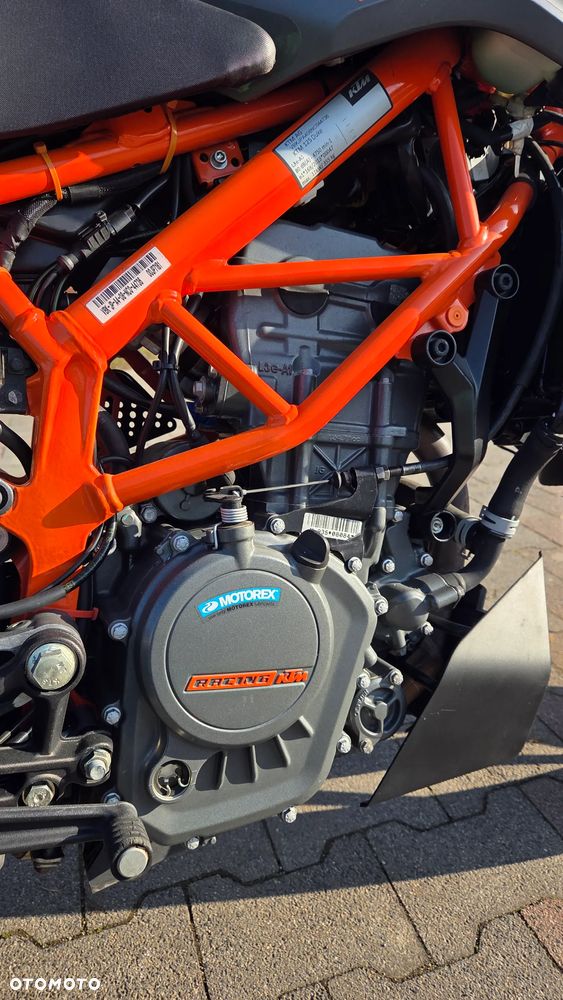 KTM Duke - 6