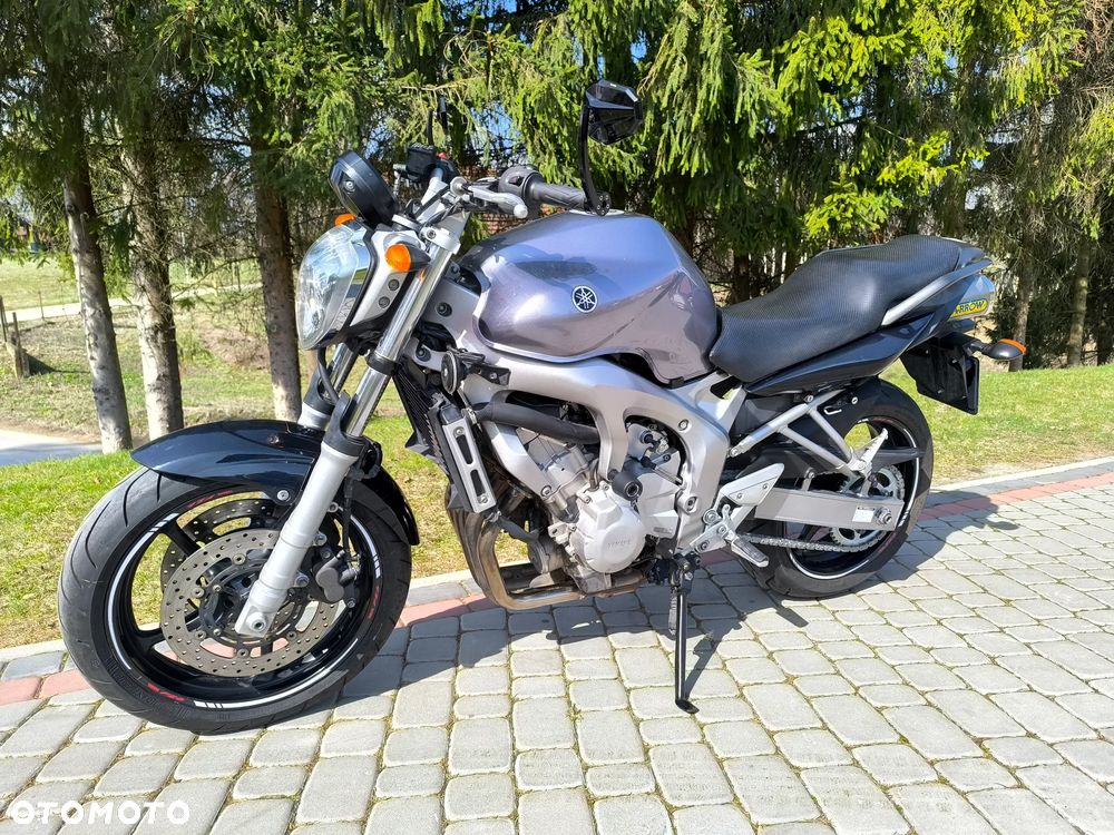 Yamaha FZ6 - 3