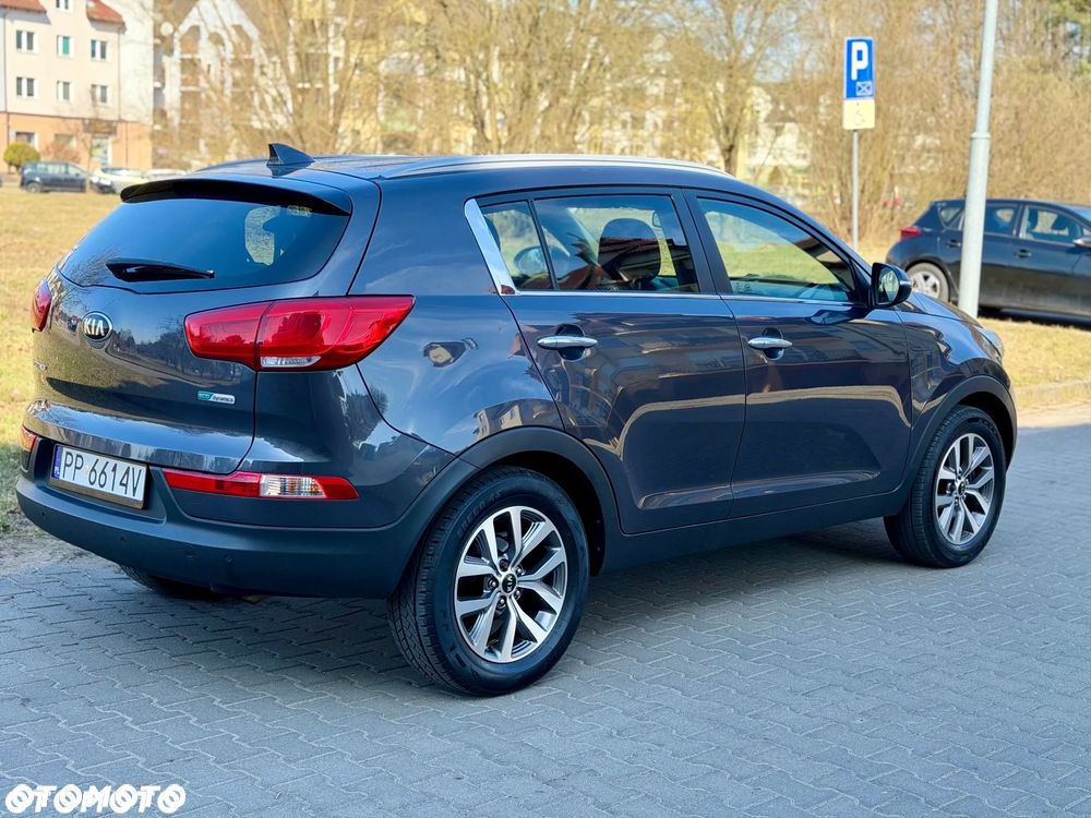 Kia Sportage - 6
