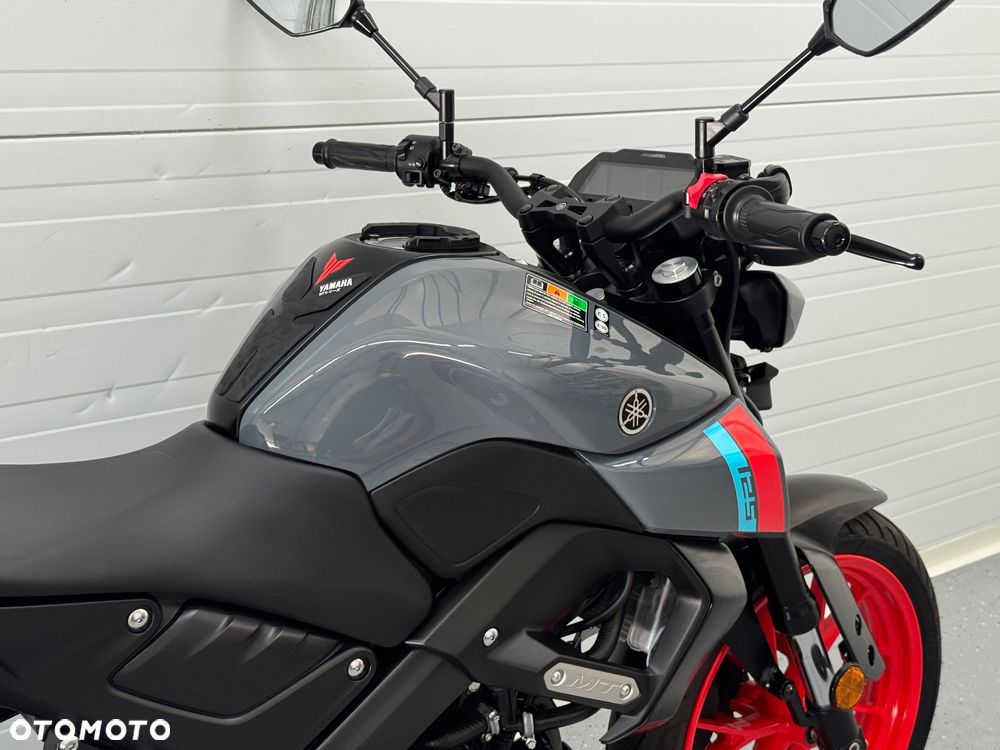 Yamaha MT - 6