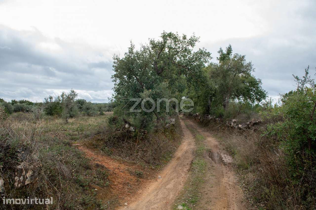 Terreno Rústico com 12.120 m² em Freixial do Campo - Castelo Branco - Grande imagem: 5/22