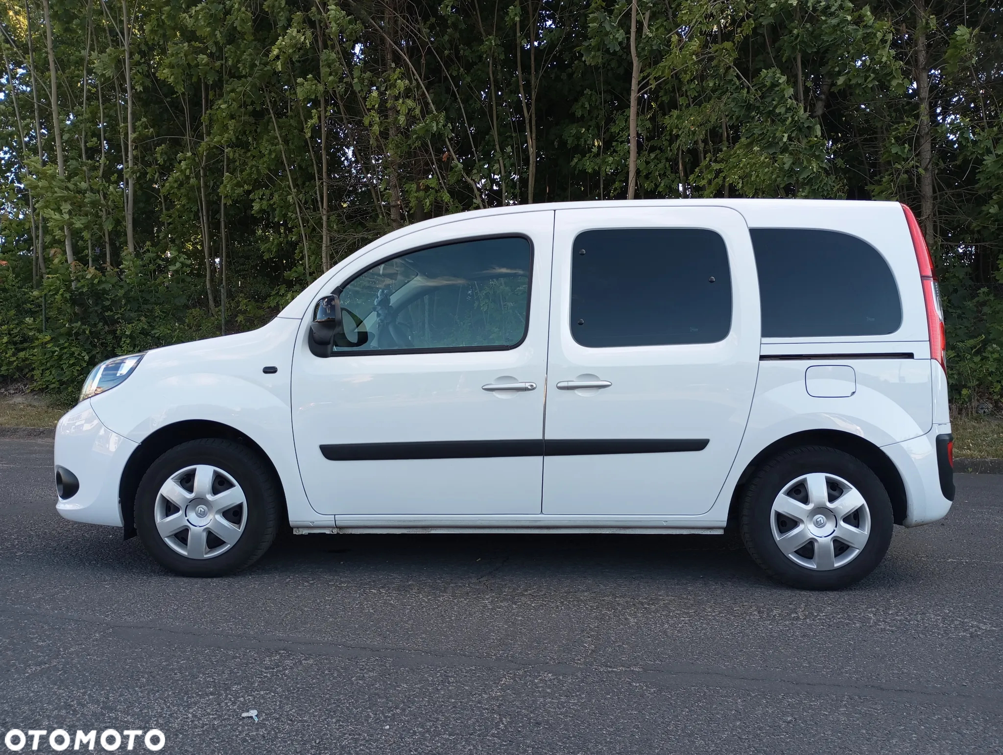 Renault Kangoo - 31