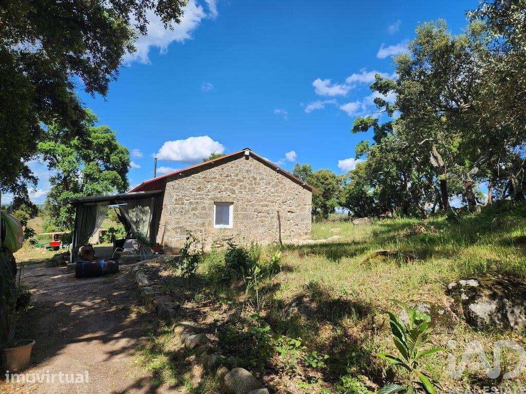 Casa de Campo T1 em Escalos de Baixo e Mata de 64 m2 - Grande imagem: 5/40