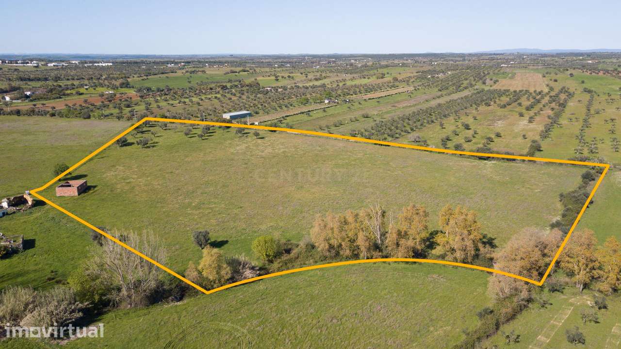 Terreno Mourão - Alentejo - Grande imagem: 2/11