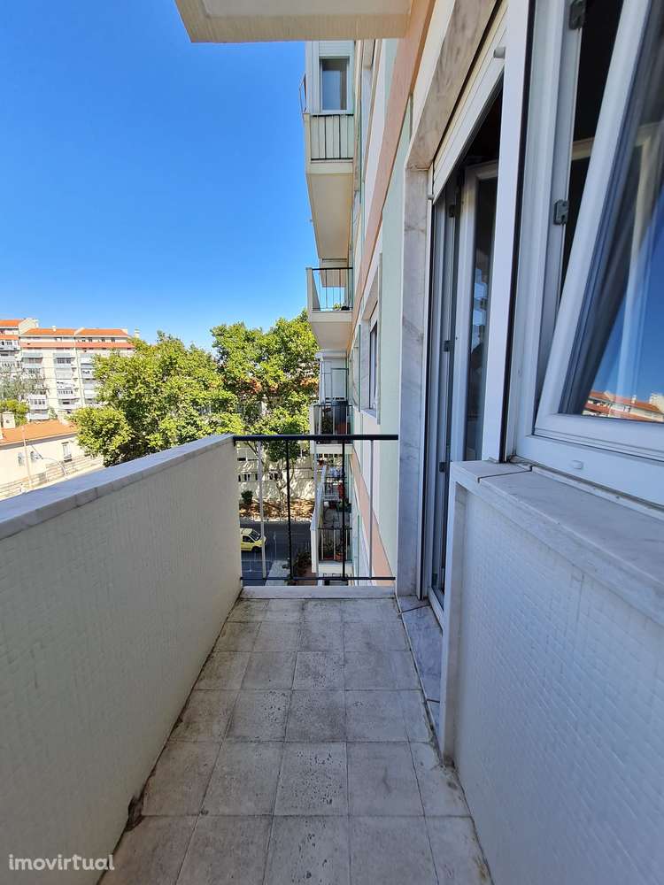 T3 - Laranjeiras - Grande imagem: 4/16