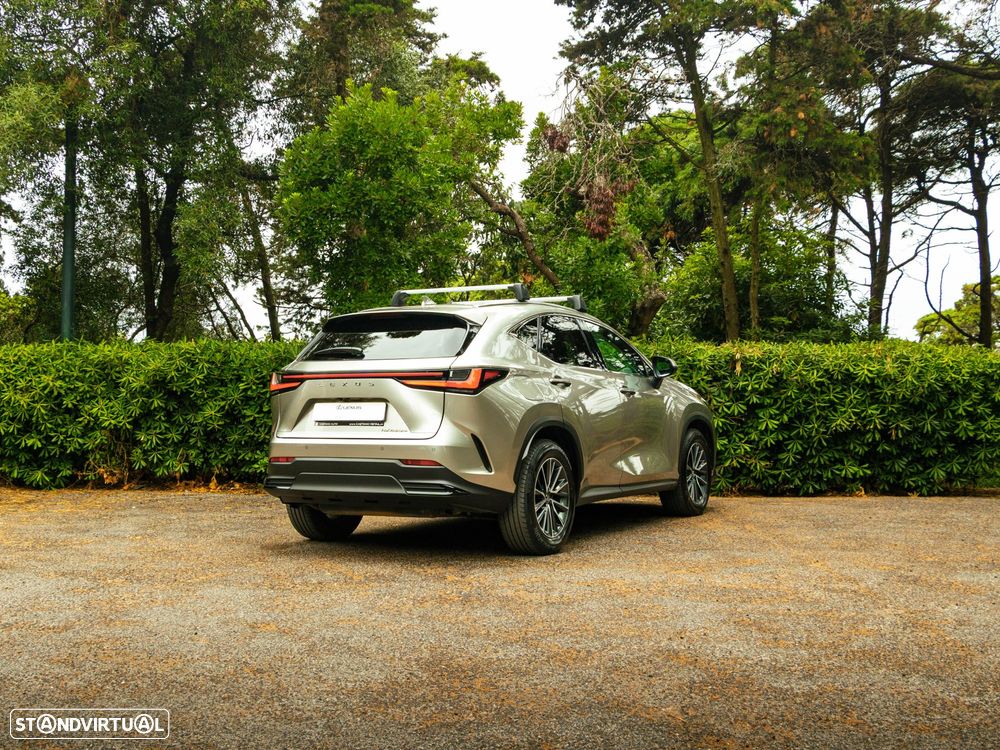 Lexus NX 450h+ - 8