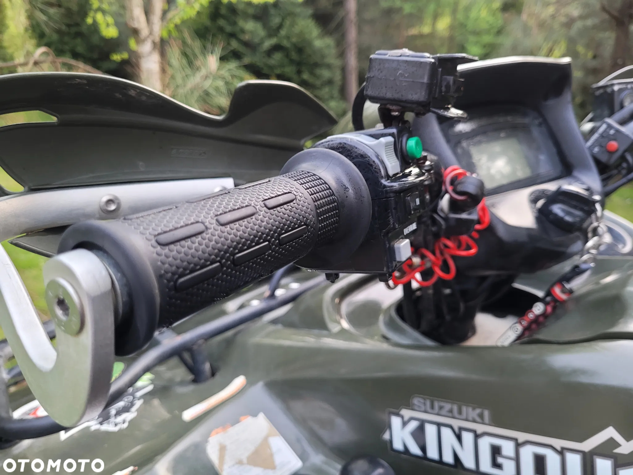Suzuki Kingquad - 10