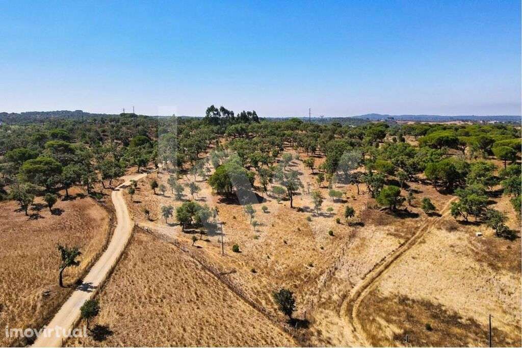Terreno rústico em Grândola Melides - Grande imagem: 4/11