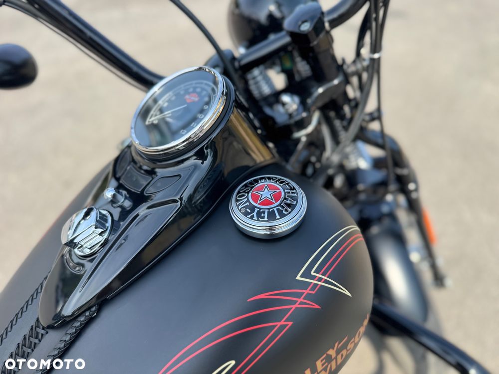 Harley-Davidson Softail Cross Bones - 8