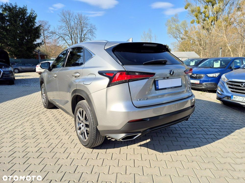 Lexus NX - 8