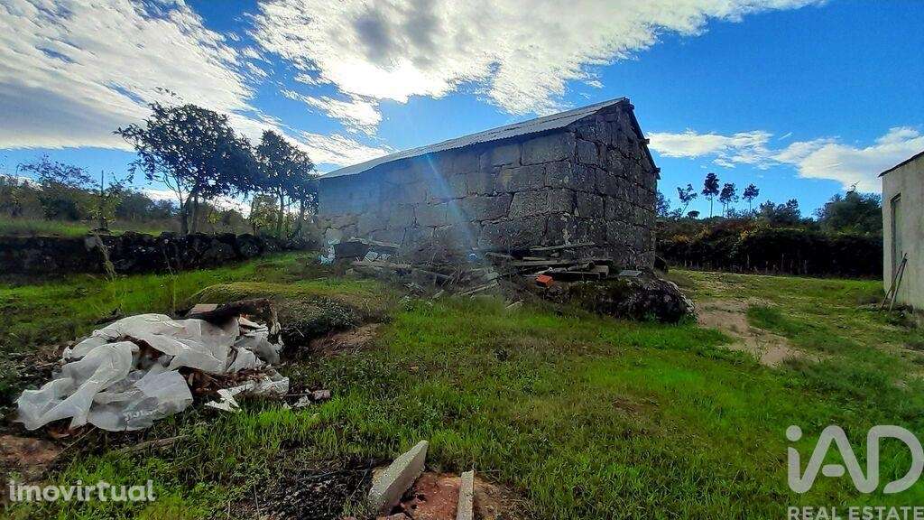 Terreno em Seixo da Beira de 14947,00 m2 - Grande imagem: 5/28