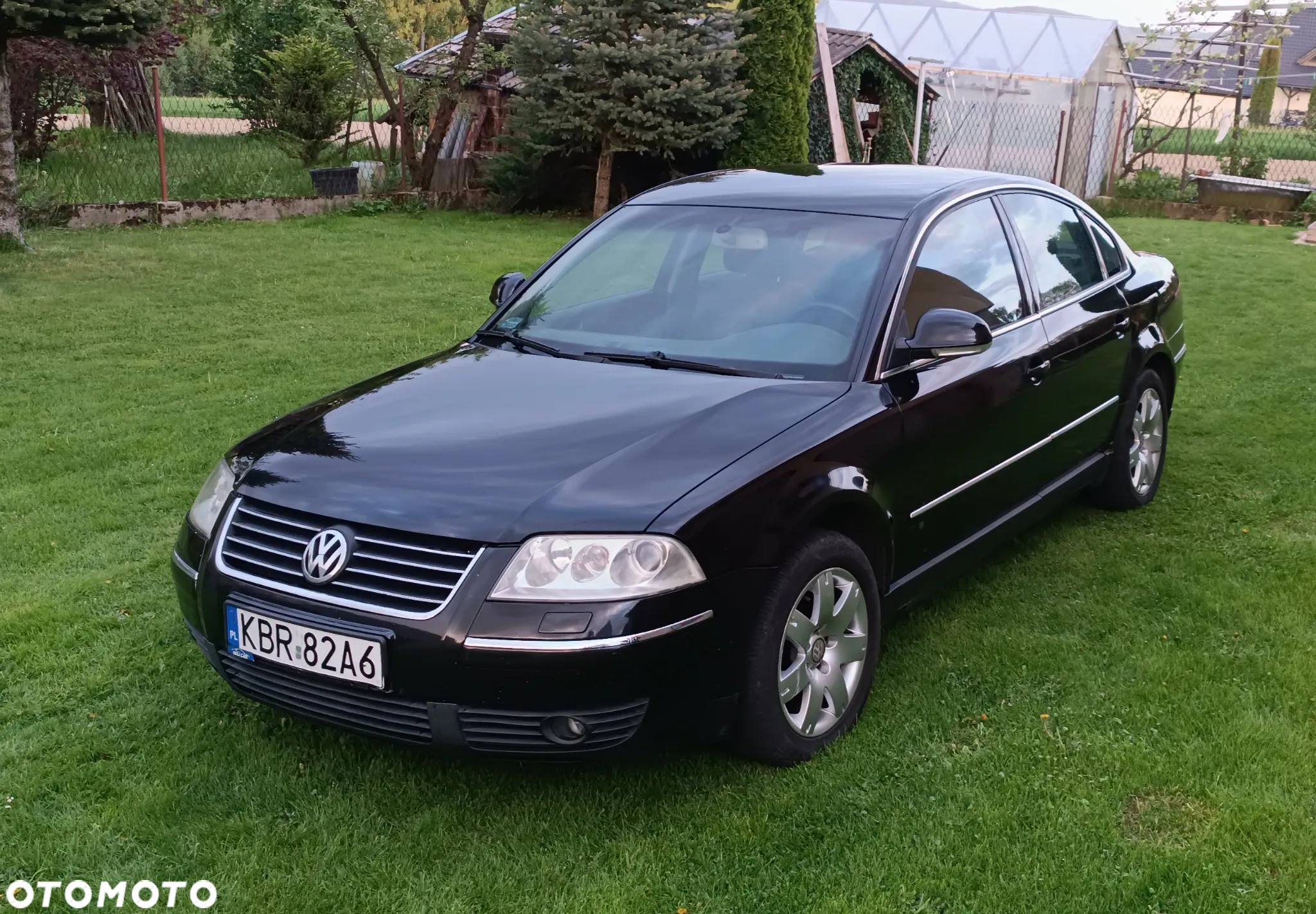 Volkswagen Passat - 9