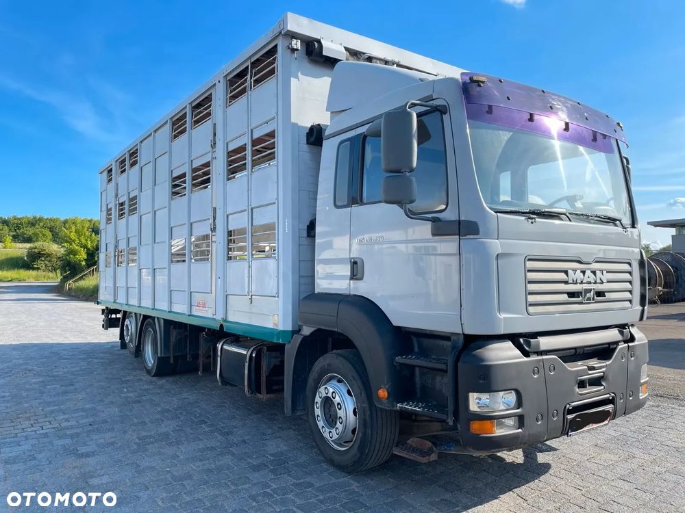 MAN TGA 26.360 Żywca Bydła - 2