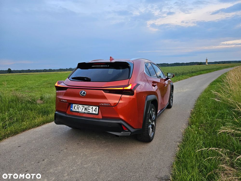 Lexus UX 250h GPF Omotenashi AWD - 15