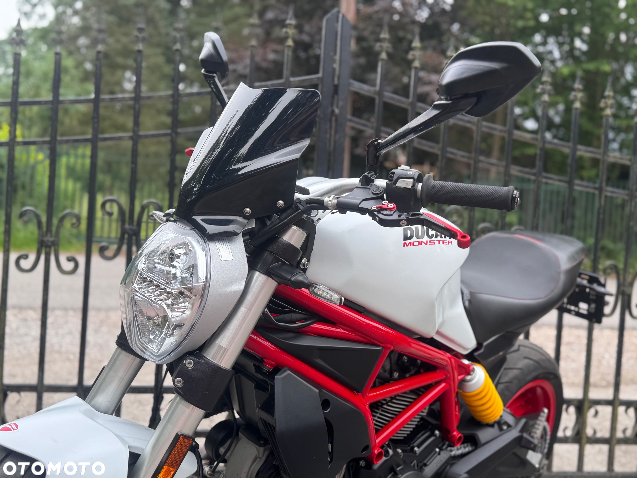 Ducati Monster - 18