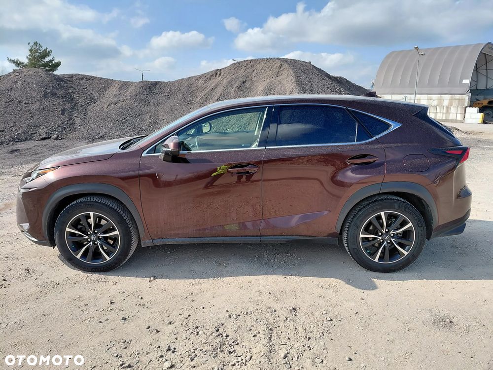 Lexus NX 300 Business Edition AWD - 3