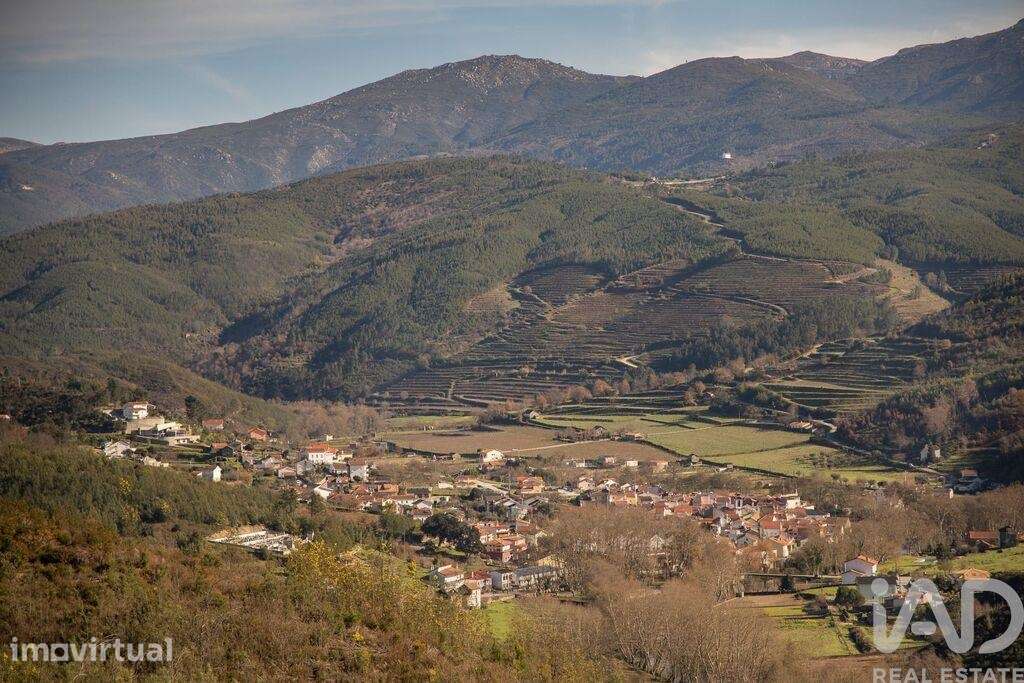 Terreno Agrícola em Sandomil - Grande imagem: 4/8
