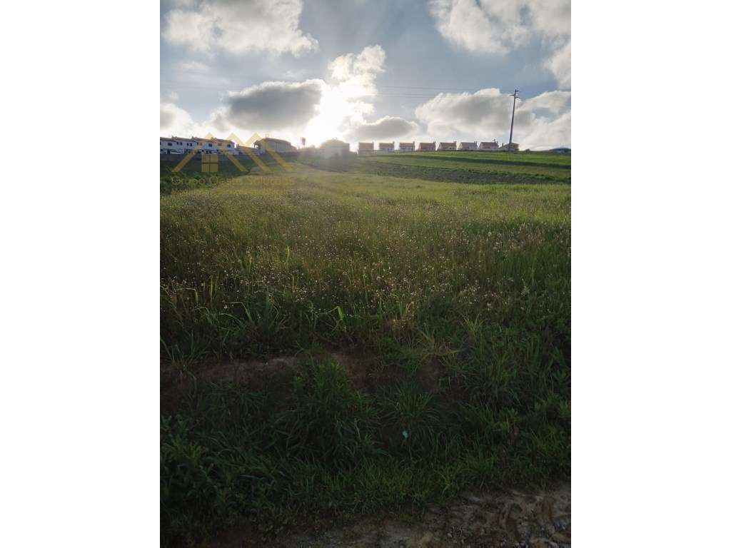 Terreno em Santa Bárbara, Lourinhã - Oportunidade Única! - Grande imagem: 4/4