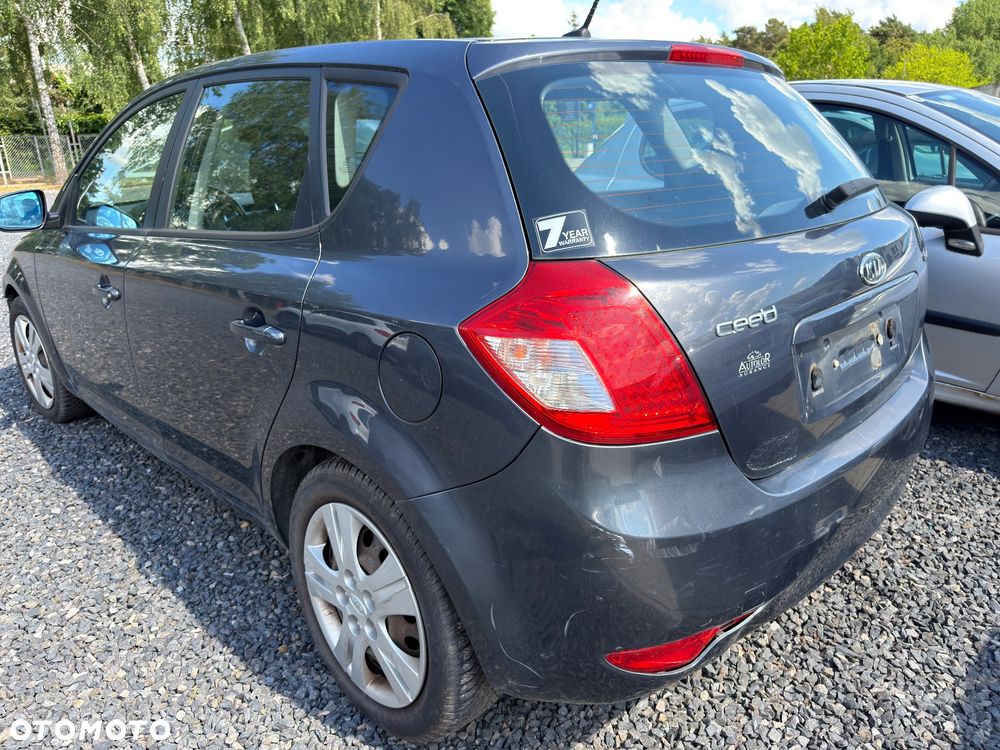 Kia Ceed - 1