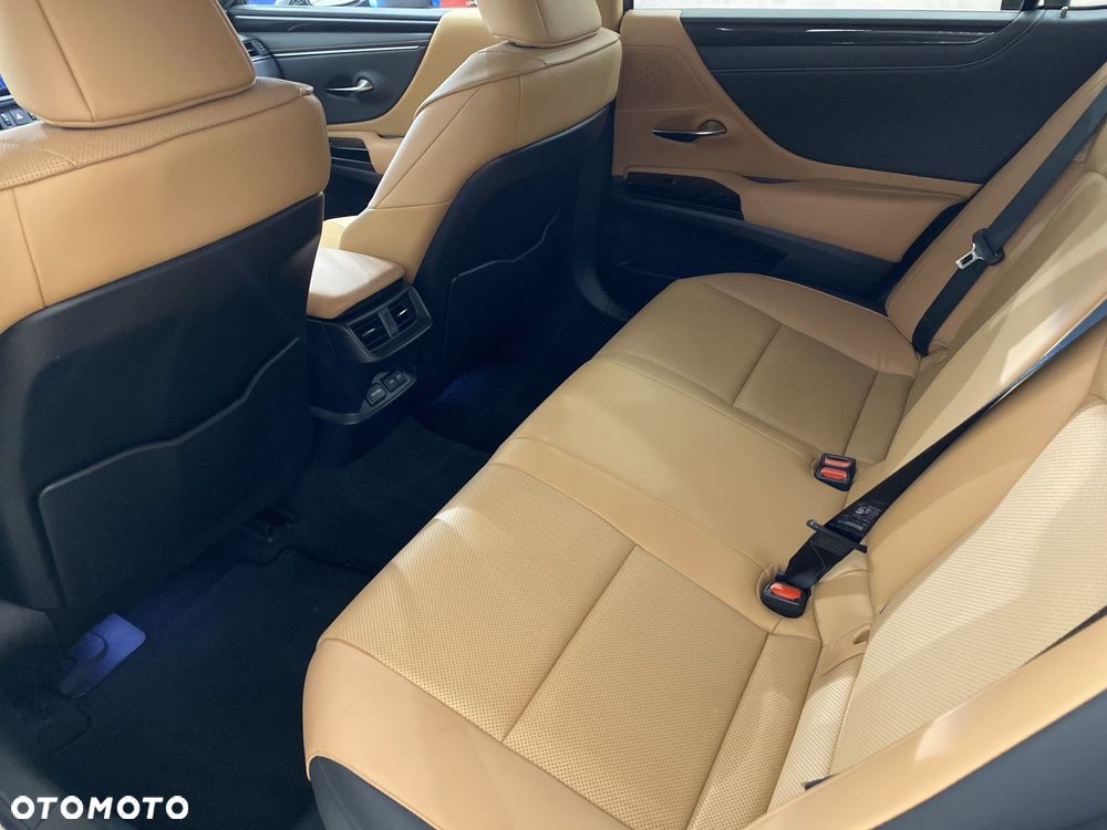 Lexus ES 300h F Sport Design - 13
