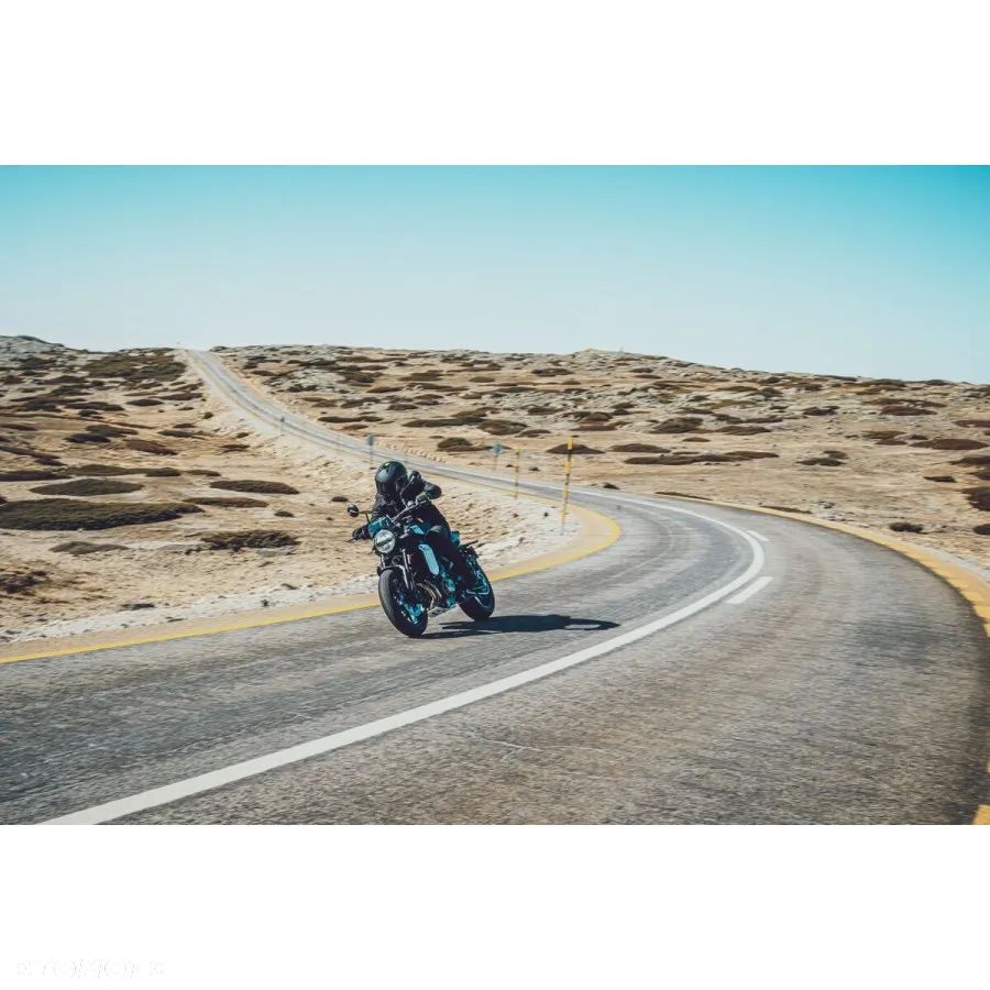 Husqvarna Svartpilen - 13