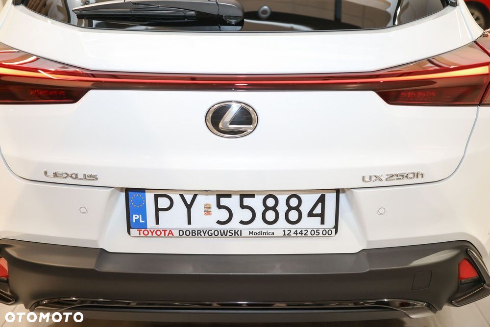 Lexus UX 250h GPF F Sport Design 2WD - 35