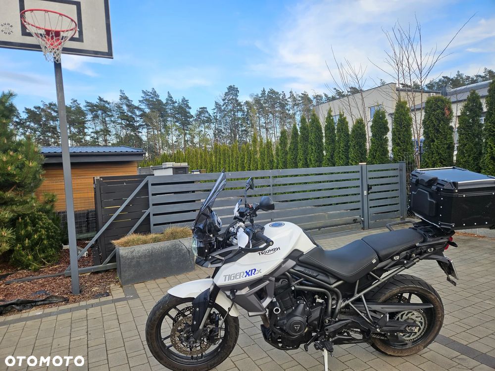 Triumph Tiger - 1