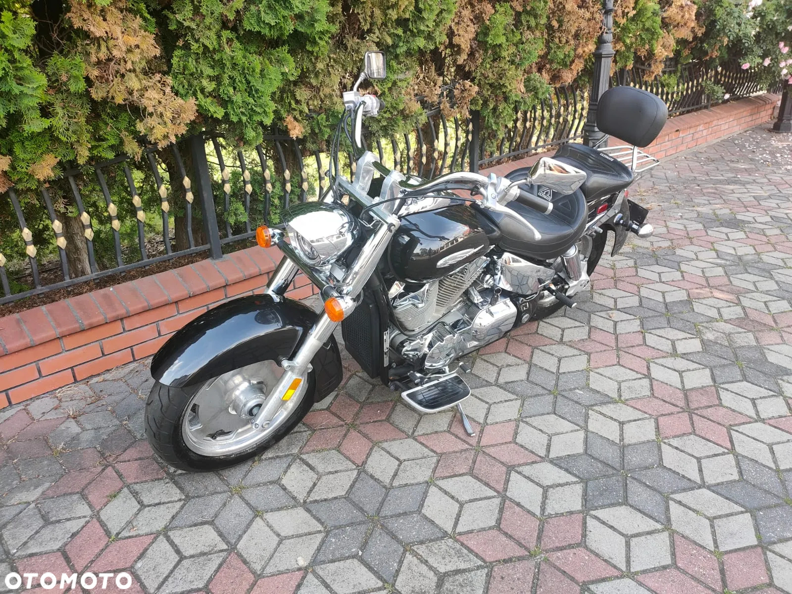 Honda VTX - 5