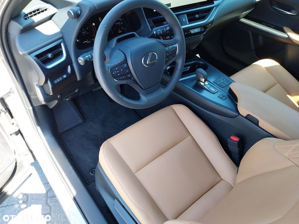 Lexus UX 300h F Sport Design - 19