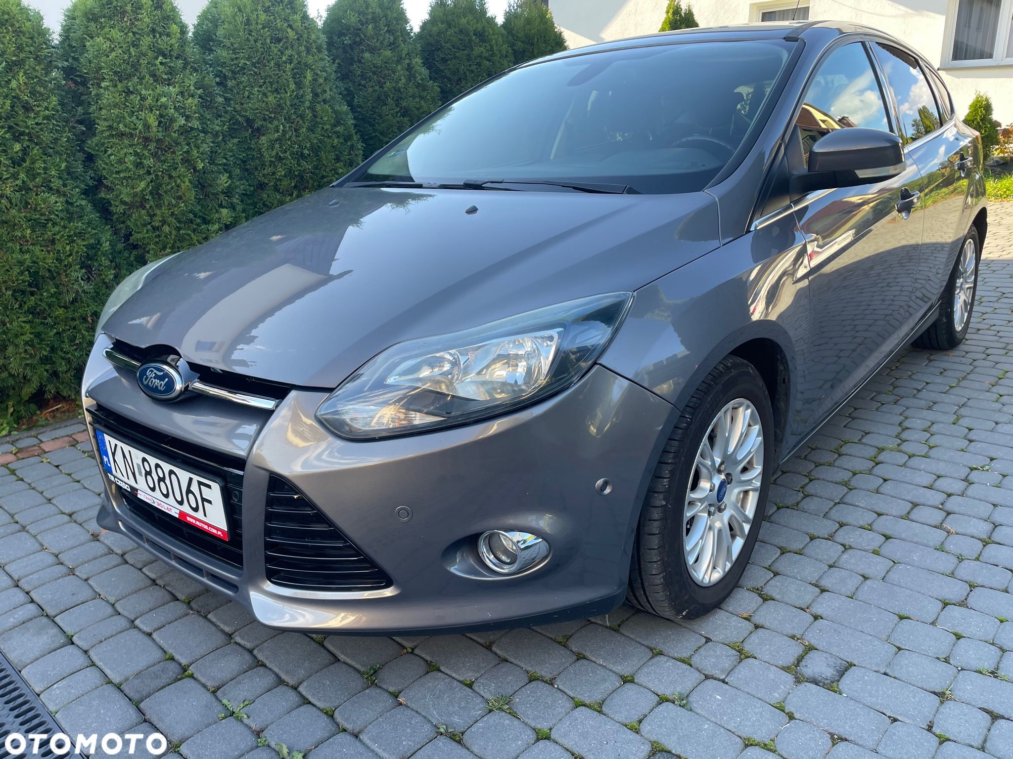 Ford Focus - 1