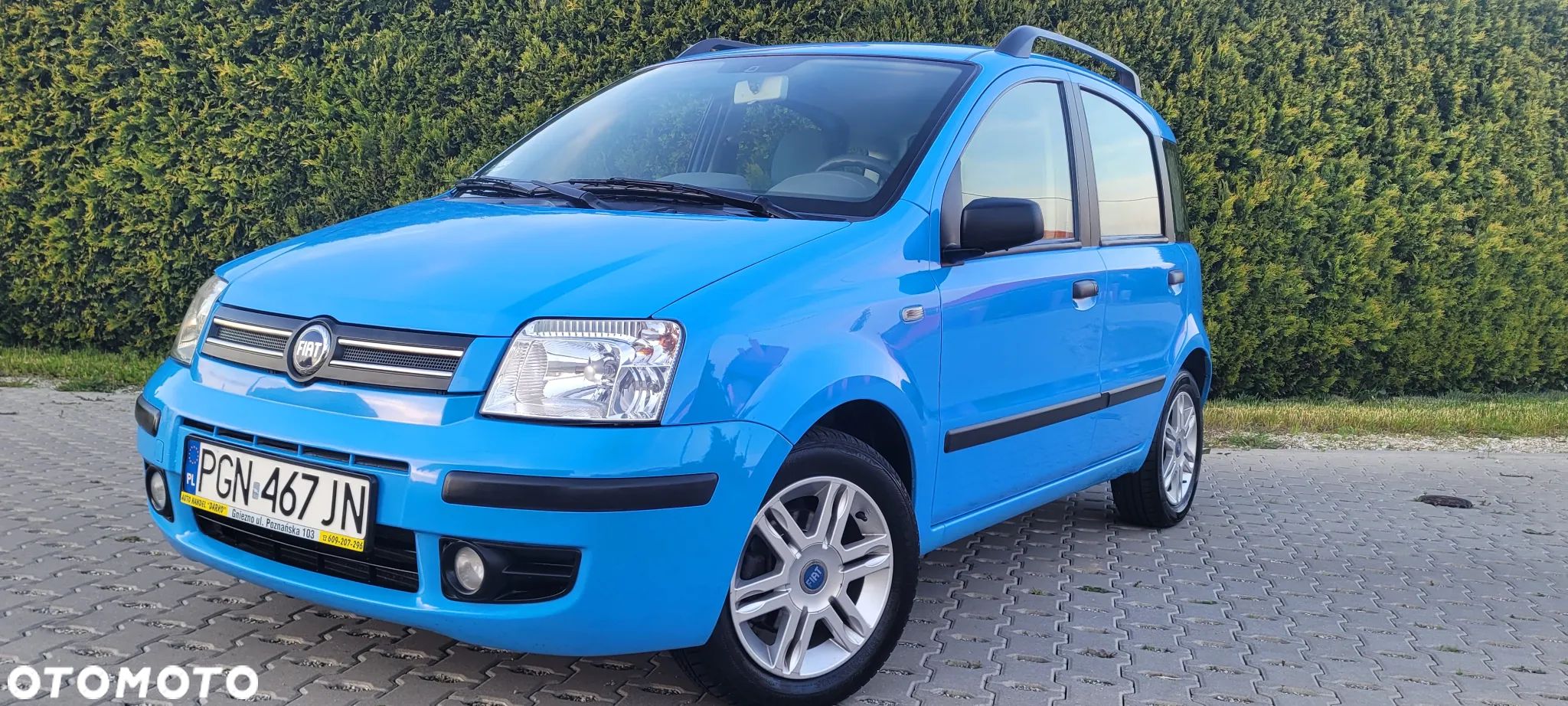 Fiat Panda 1.2 Dynamic Plus - 1