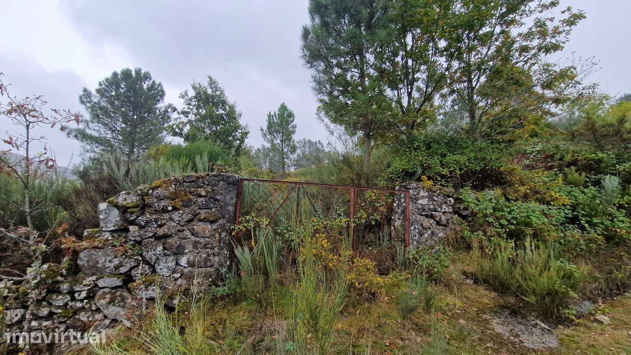 Vivenda de campo e vários terrenos para venda em Zebral, Vieira do Min - Grande imagem: 2/60