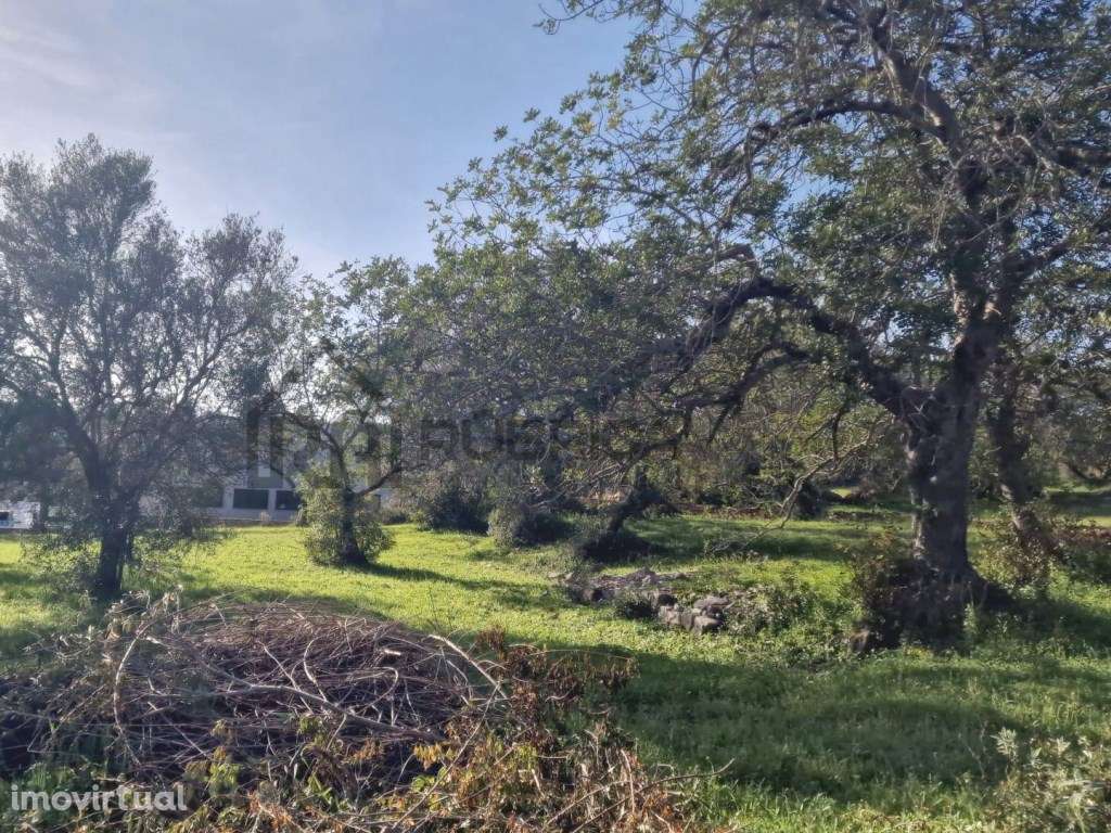 Terreno urbano para construção - São Brás de Alportel - Grande imagem: 2/17