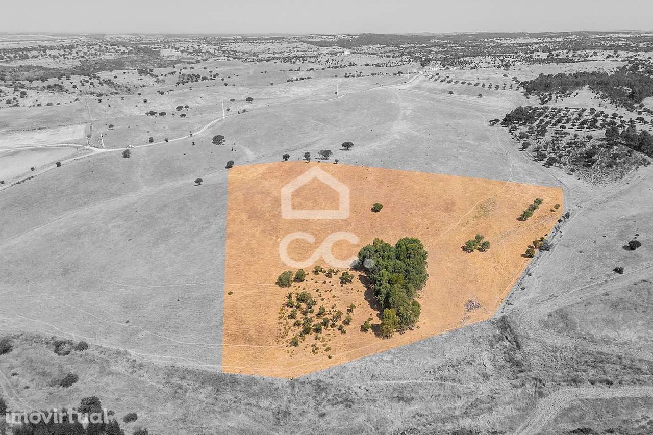 Terreno Rústico de 2,725 ha c/ Pequena Nascente para Exploração Agríco - Grande imagem: 2/16