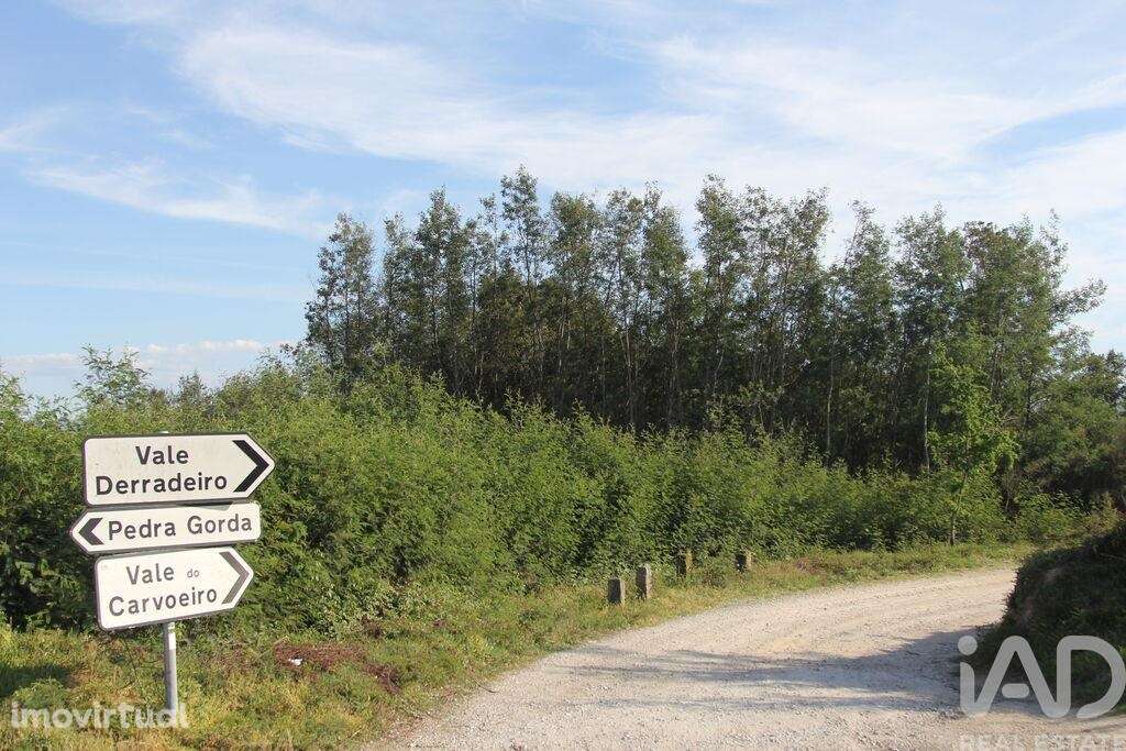 Terreno Agrícola em Oliveira do Hospital e São Paio de Gramaços - Grande imagem: 3/40