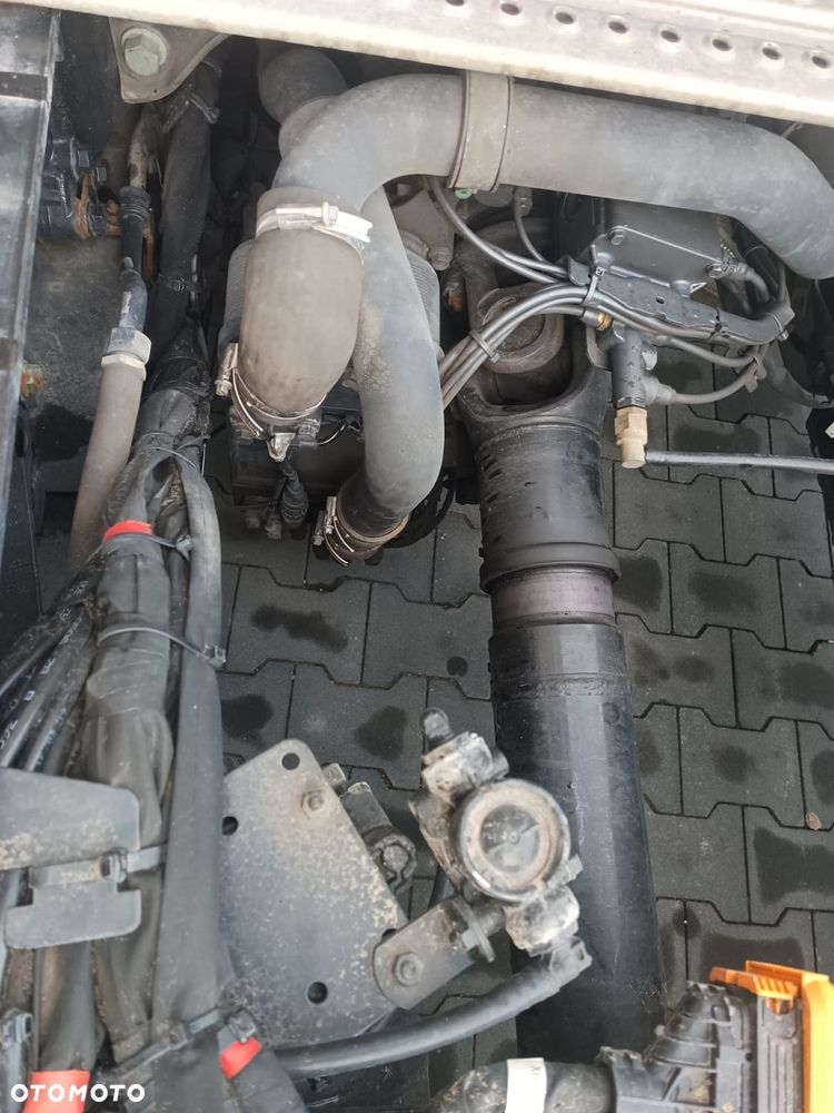 MAN TGX TG3 low deck export 42000 euro niski przebieg 299000 km - 4