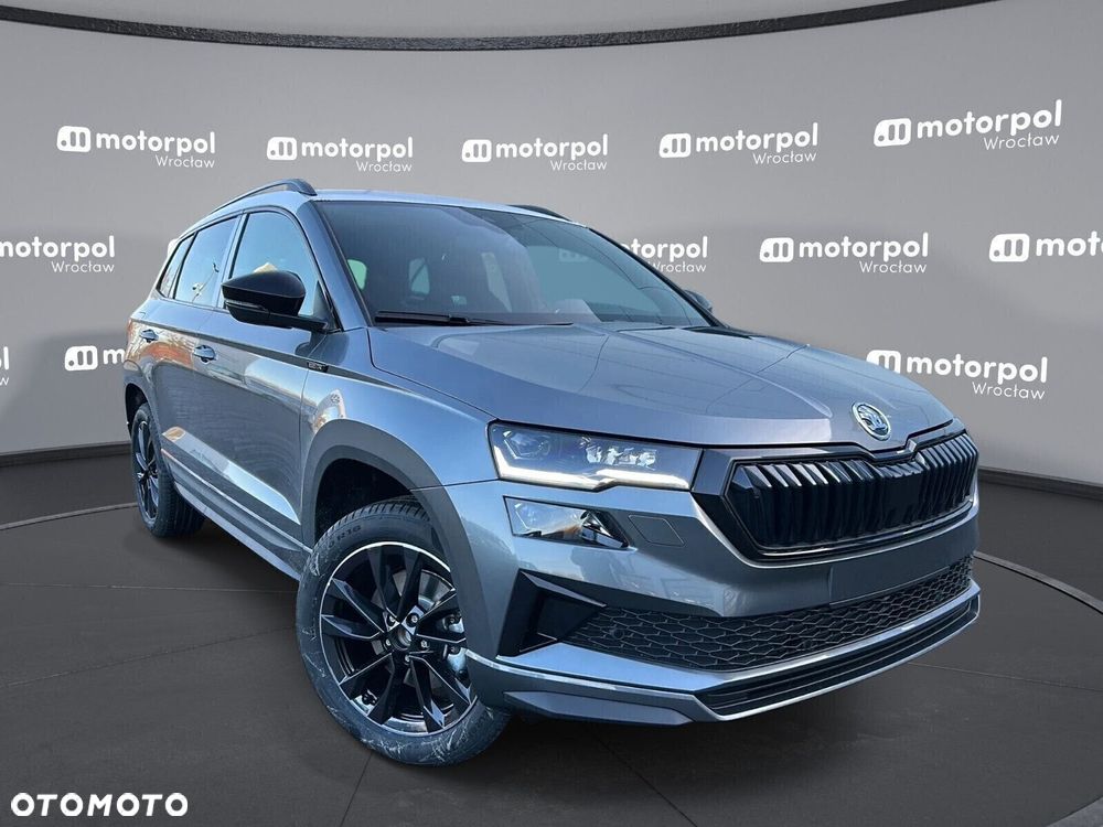 Skoda Karoq - 13