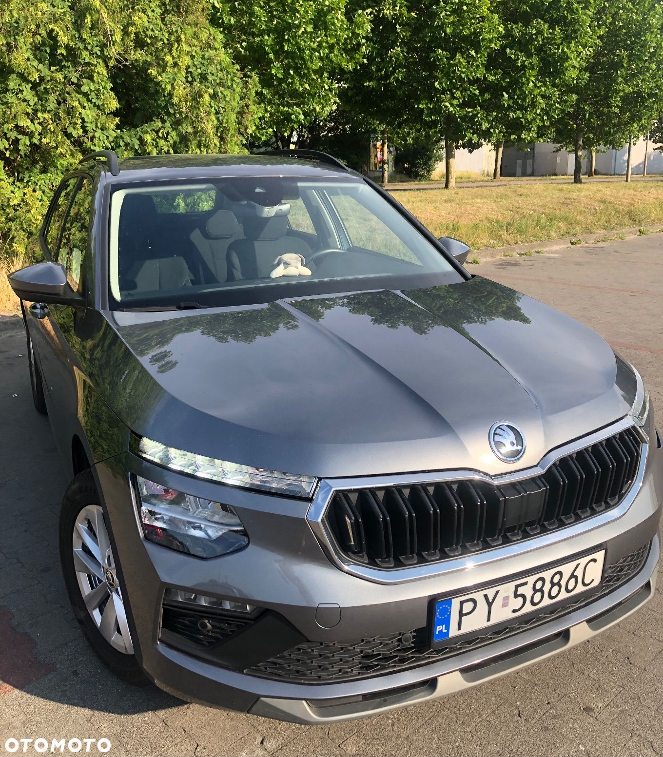 Skoda Kamiq - 1