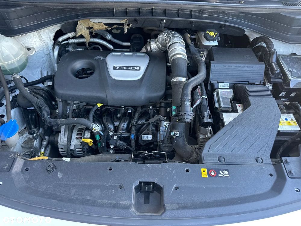 Kia Sportage - 6