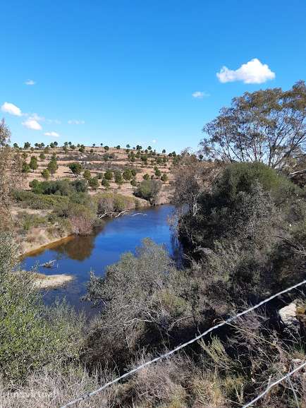 Herdade vedada barragens poços furo monte olival cortiça gado etc - Grande imagem: 2/4