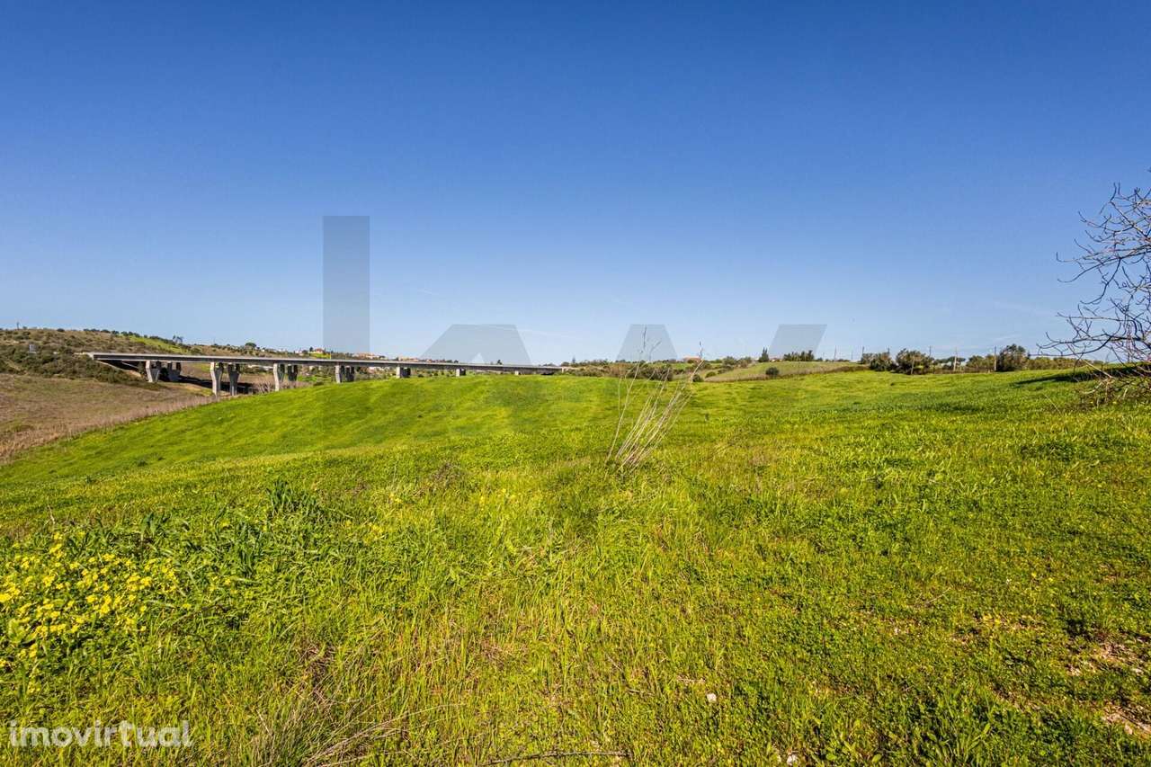 Quinta com 21 ha e várias construções perto de Santarém | Grande poten - Grande imagem: 4/60