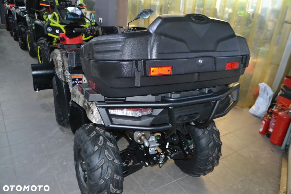Kawasaki Brute Force - 5
