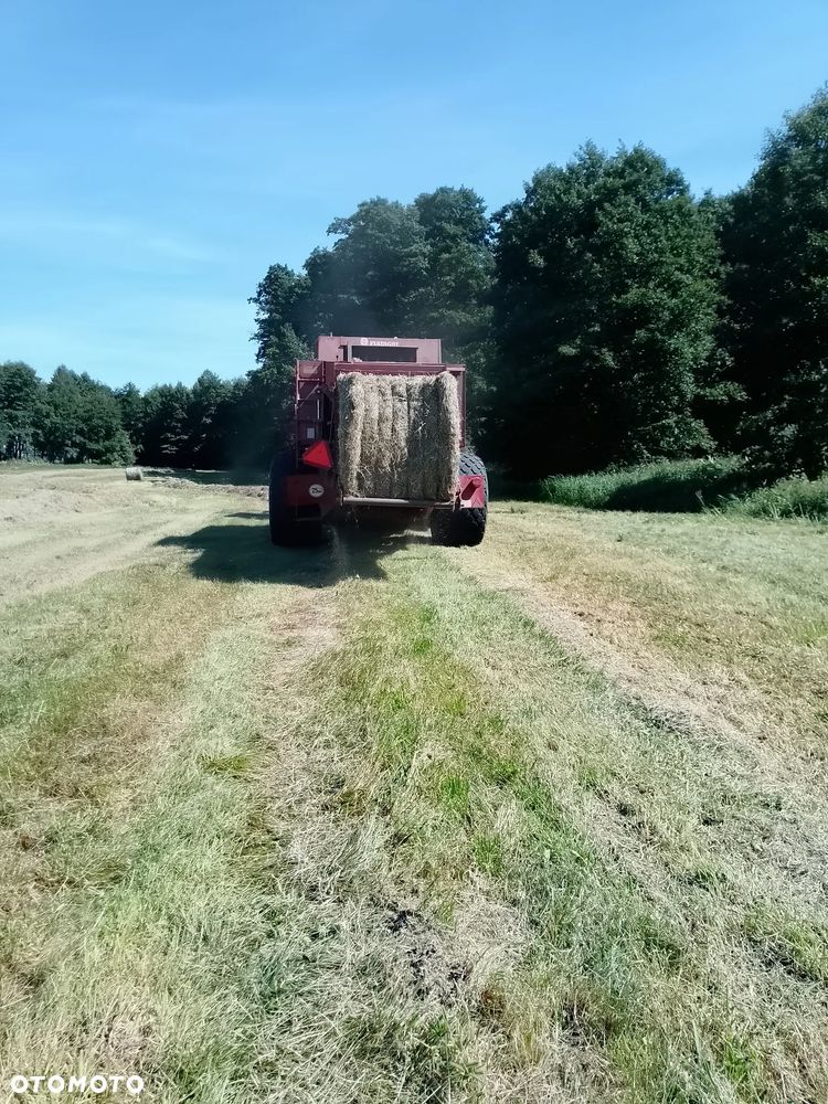 Massey Ferguson HESSTON 4900 - 10
